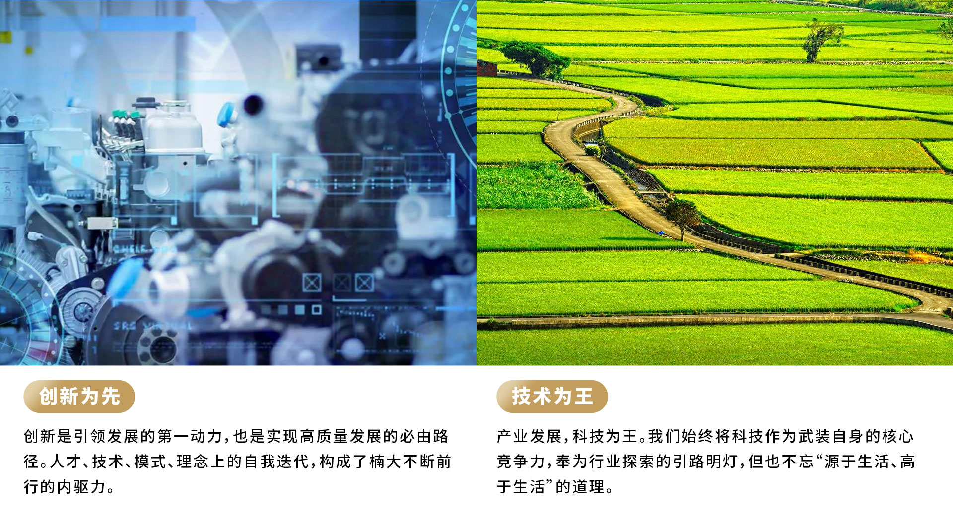 &#20122;&#32654;&#40;&#20013;&#22269;&#41;&#20307;&#32946;&#23448;&#26041;&#32593;&#31449;
